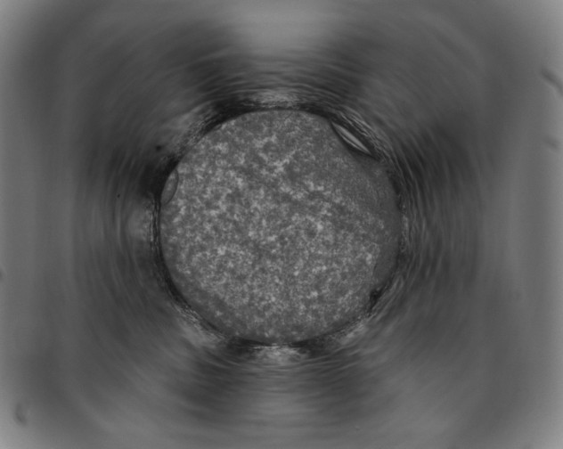 X0000095110379200801041206