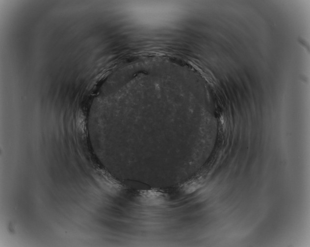 X0000095110380200801041206