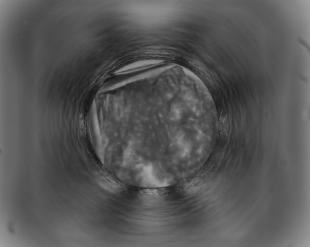 X0000095110381200801041206