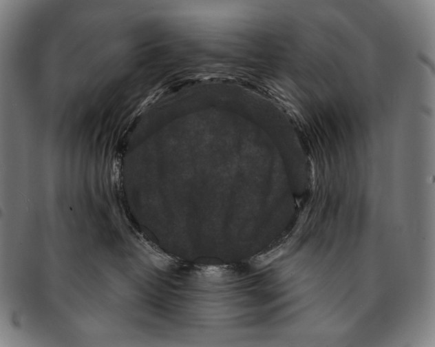 X0000095110382200801041206