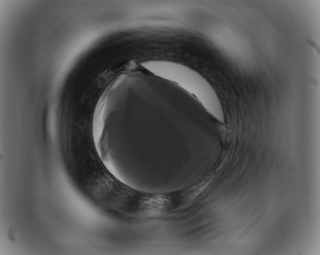 X0000095110383200801041206