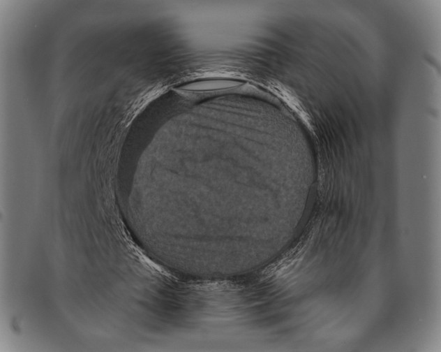 X0000095110385200801041205