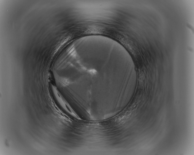 X0000095110386200801041205