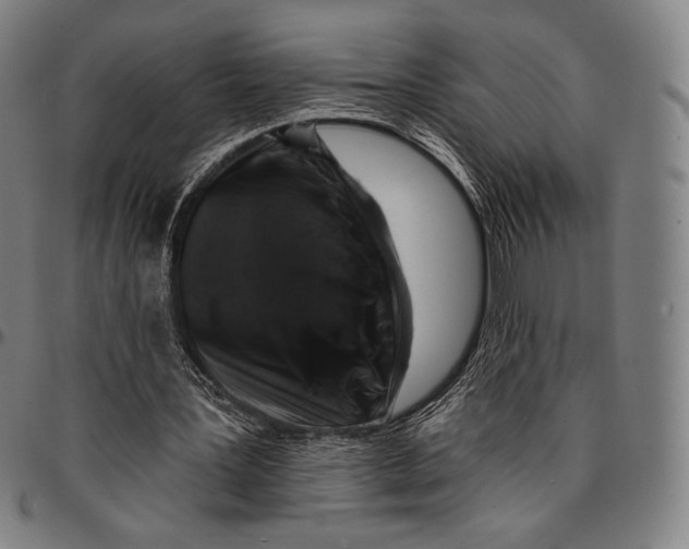 X0000095110387200801041205