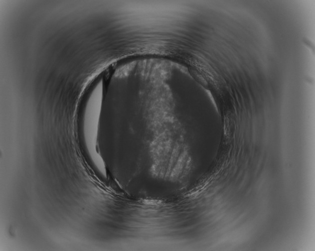 X0000095110388200801041205