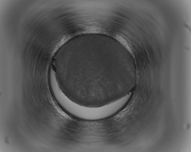 X0000095110389200801041205