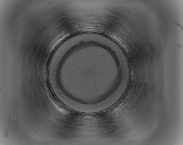 X0000095110390200801041205