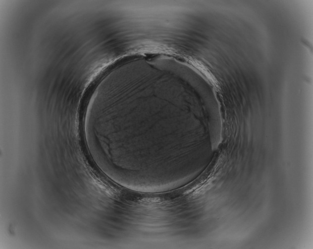 X0000095110391200801041205