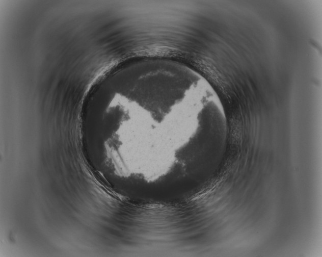 X0000095110392200801041205