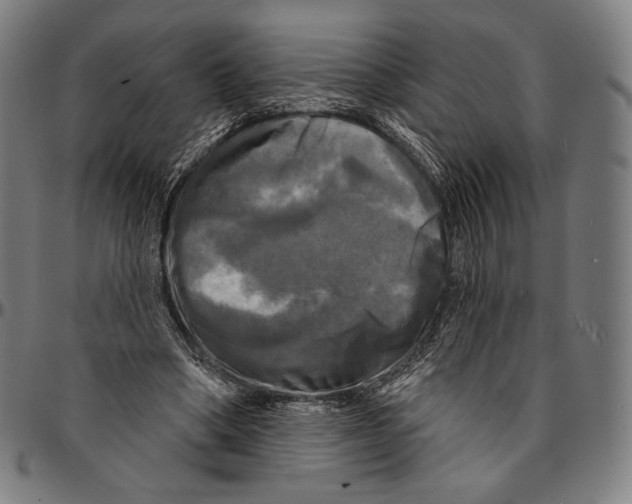 X0000095110394200801041205