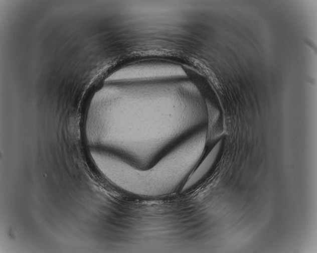 X0000095110395200801041205