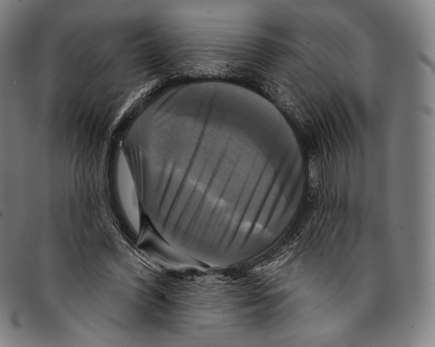 X0000095110396200801041205