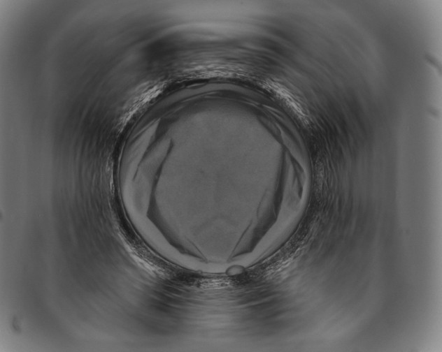 X0000095110398200801041205