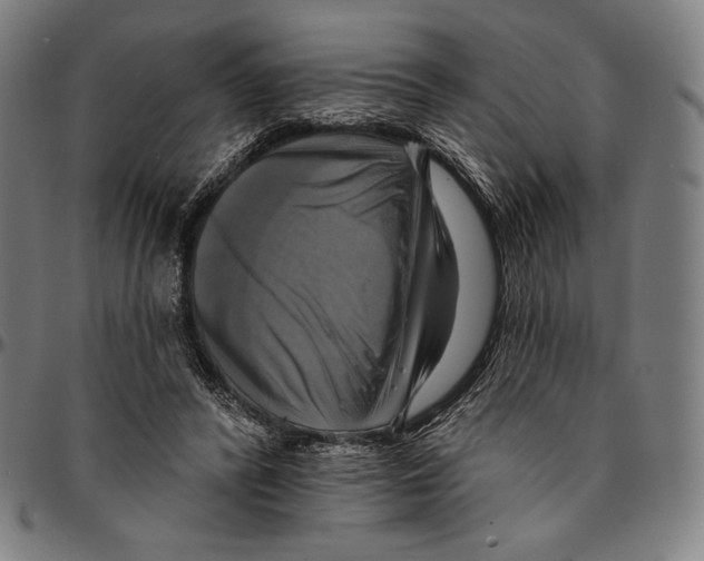 X0000095110400200801041205