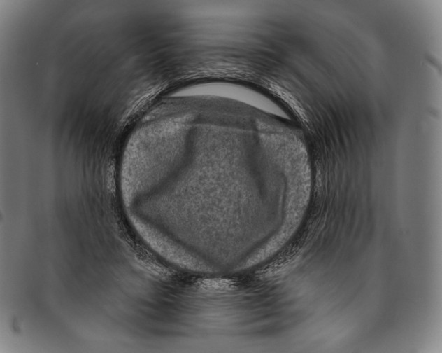 X0000095110403200801041205