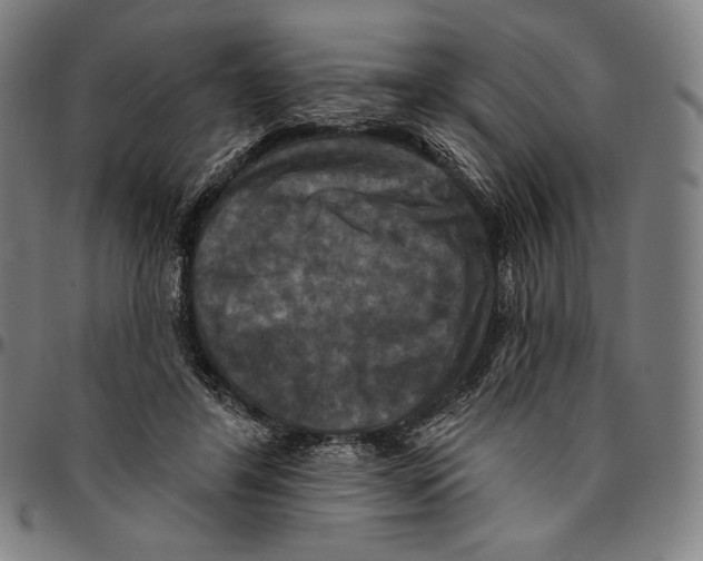 X0000095110404200801041205