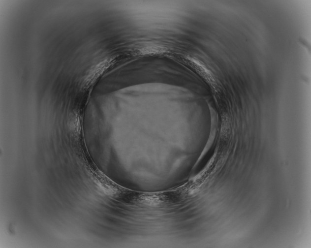 X0000095110405200801041205