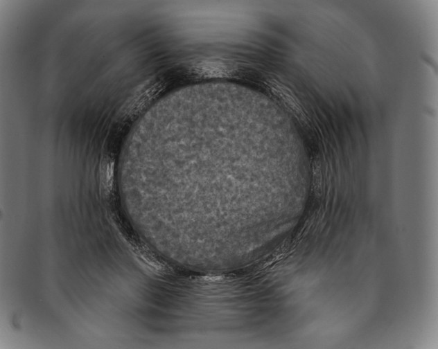 X0000095110406200801041205