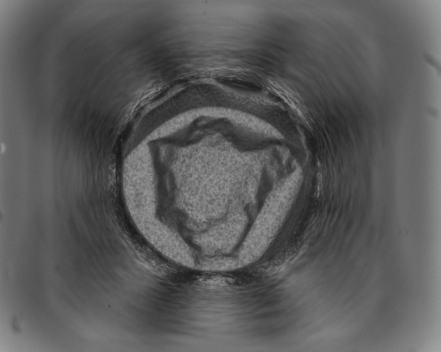 X0000095110407200801041205