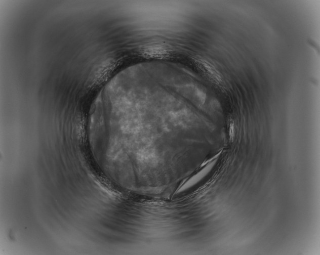 X0000095110408200801041205