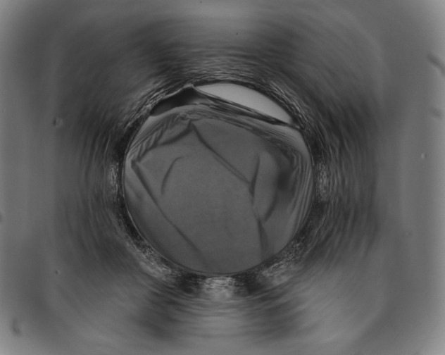 X0000095110410200801041205