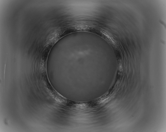 X0000095110411200801041205