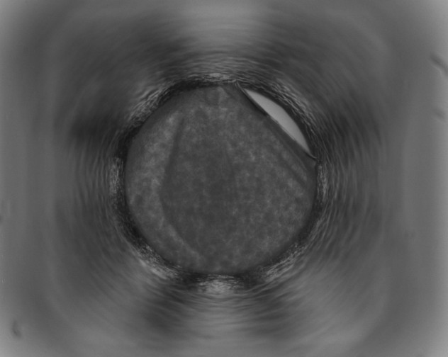 X0000095110412200801041205
