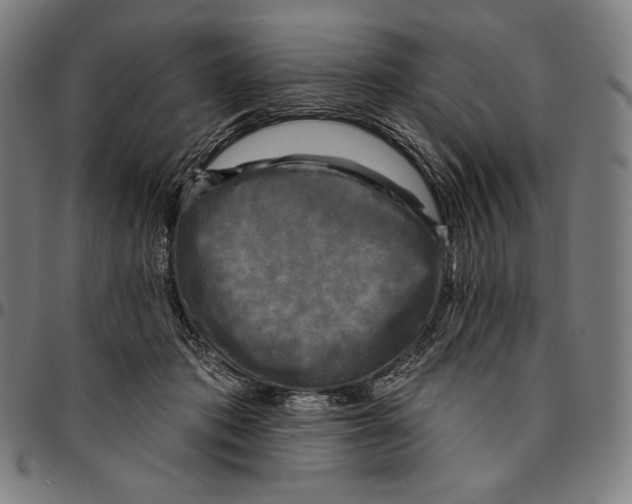 X0000095110413200801041205