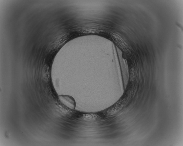 X0000095110414200801041205
