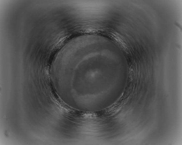 X0000095110415200801041205