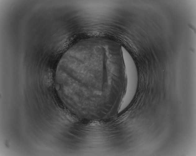 X0000095110416200801041205