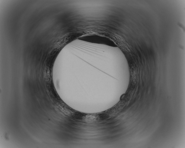 X0000095110418200801041205