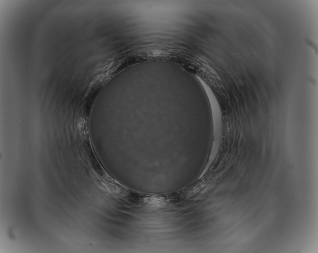 X0000095110419200801041205