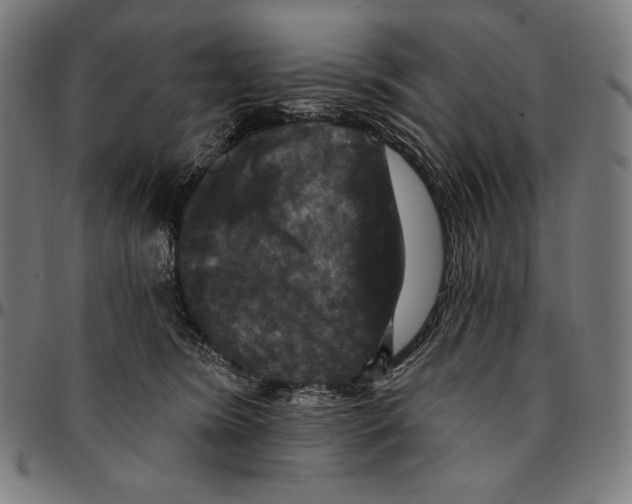 X0000095110420200801041205