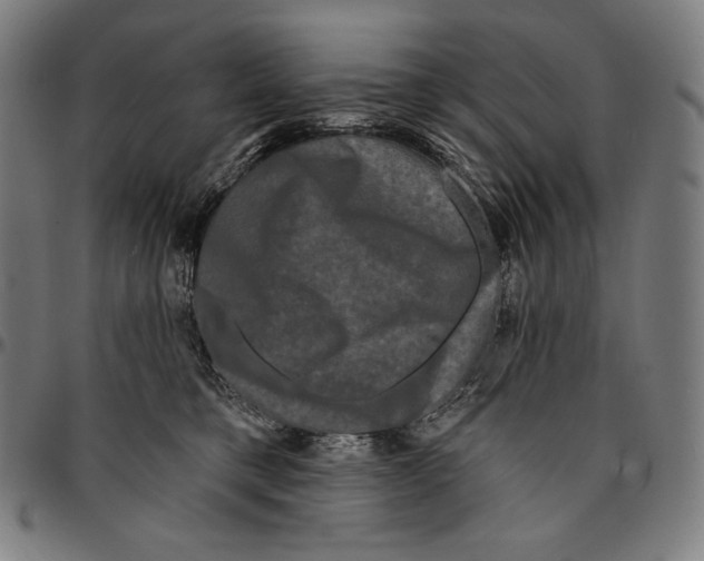 X0000095110421200801041205