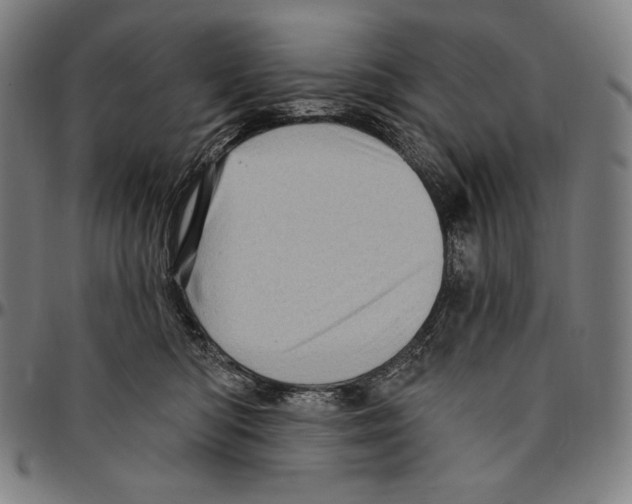X0000095110422200801041205