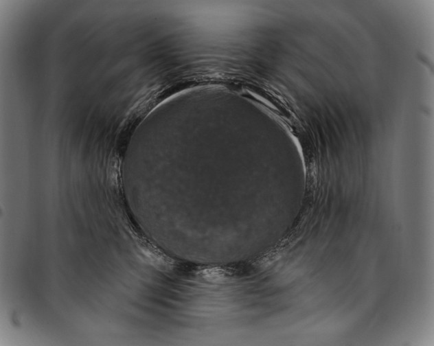 X0000095110423200801041205