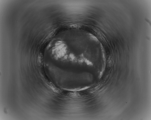 X0000095110424200801041204