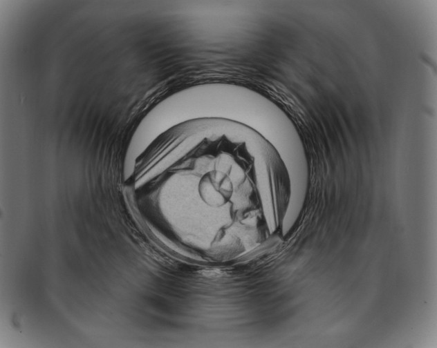 X0000095110425200801041204