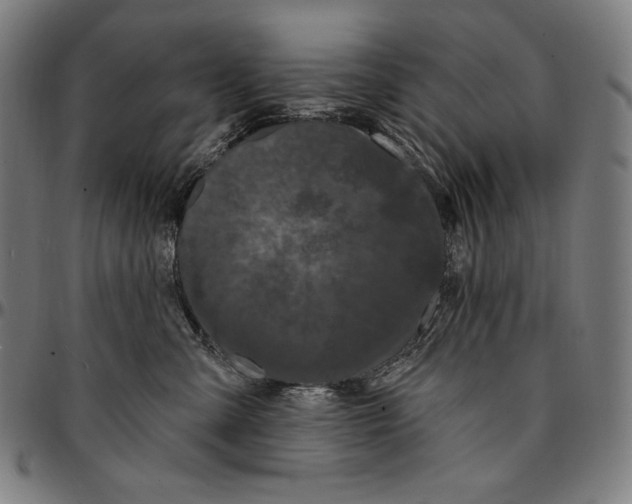 X0000095110427200801041204