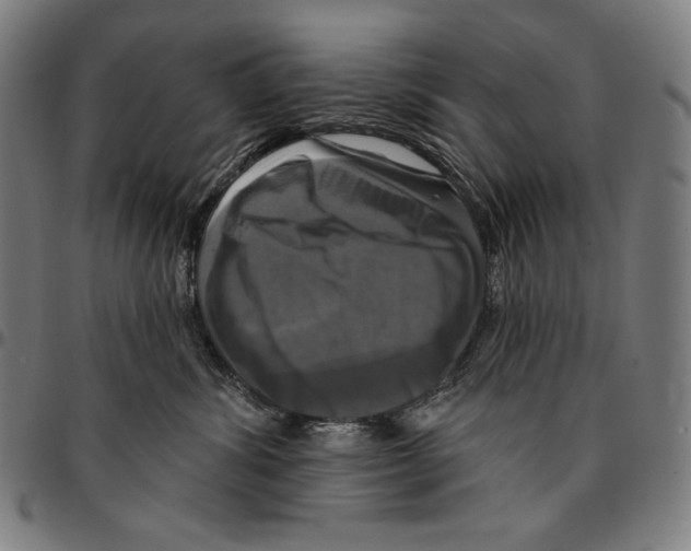 X0000095110428200801041204