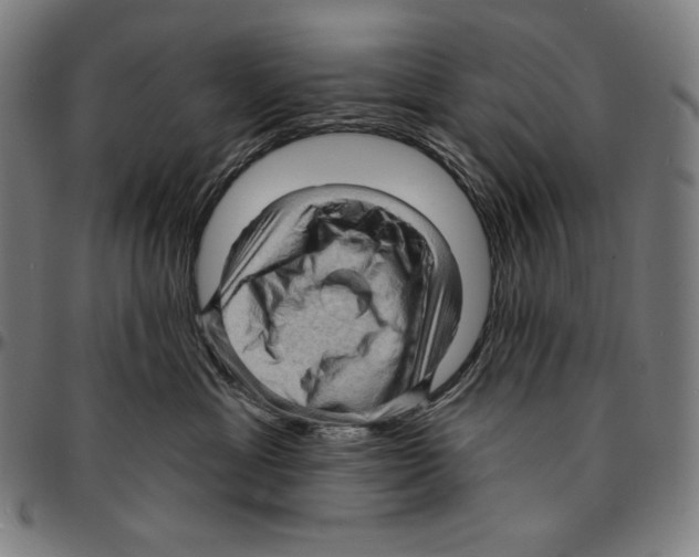 X0000095110429200801041204