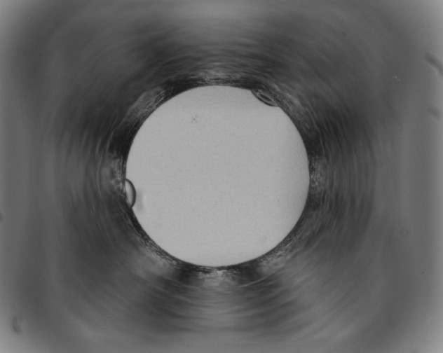 X0000095110430200801041204