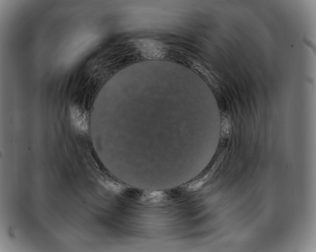 X0000095110431200801041204