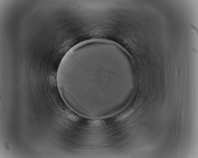 X0000095110432200801041204