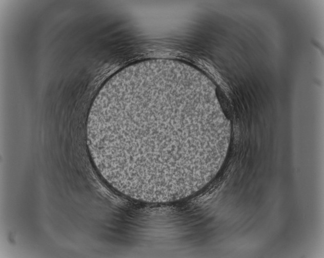 X0000095110433200801041204