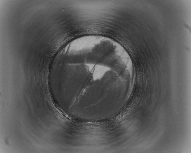 X0000095110434200801041204