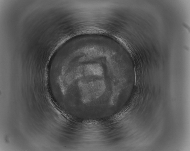 X0000095110435200801041204
