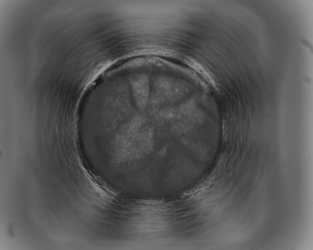 X0000095110436200801041204