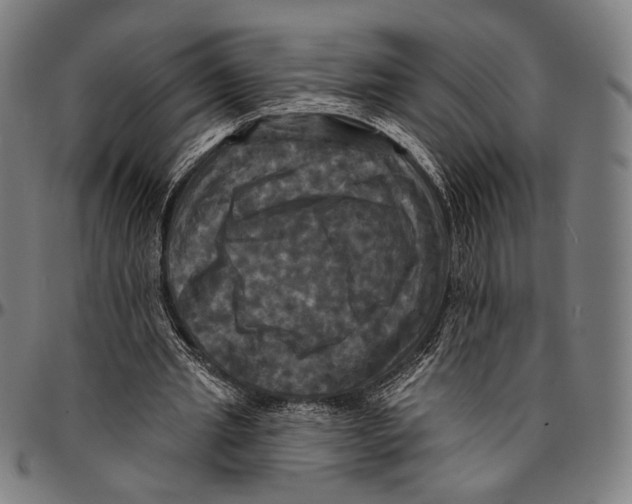 X0000095110437200801041204